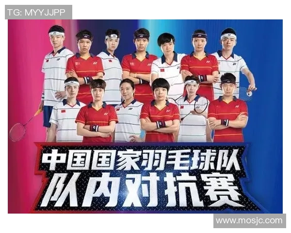 西安羽毛球队在联赛中的比赛经验与表现分析探讨