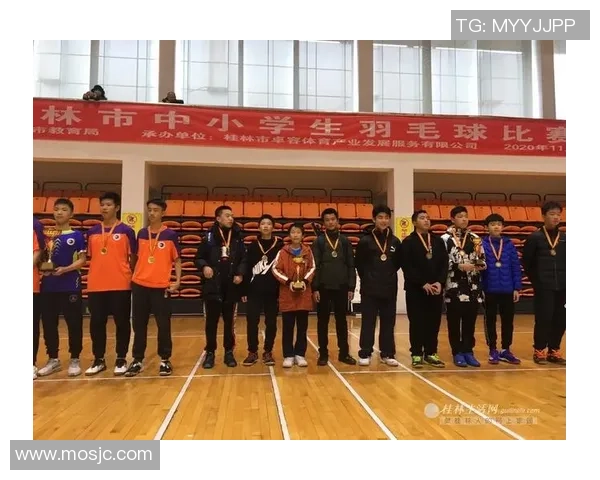 赛后复盘：西安羽毛球队 vs 深圳羽毛球队的灵活性